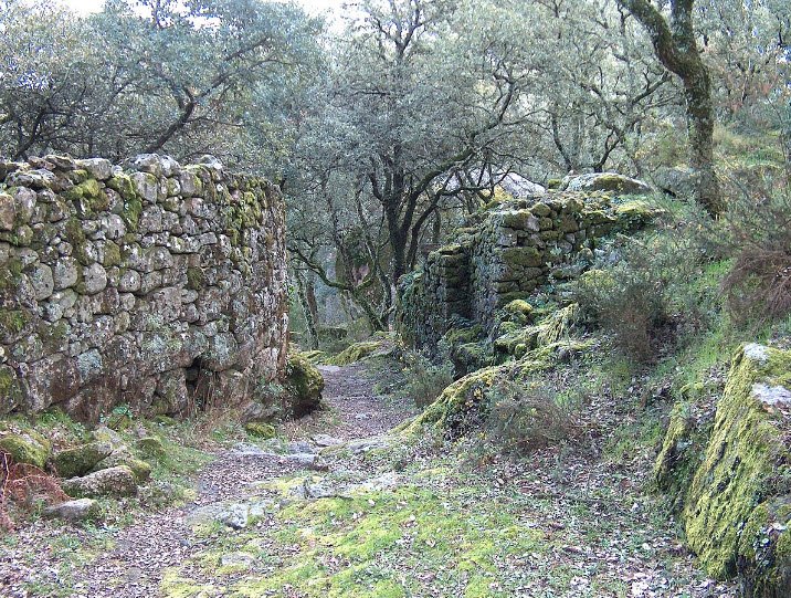 Castelo de Faria (vestígios), Portugal
